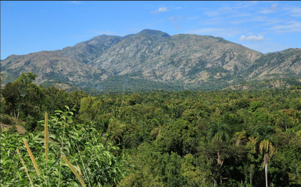 Image result for Pic Macaya National Park